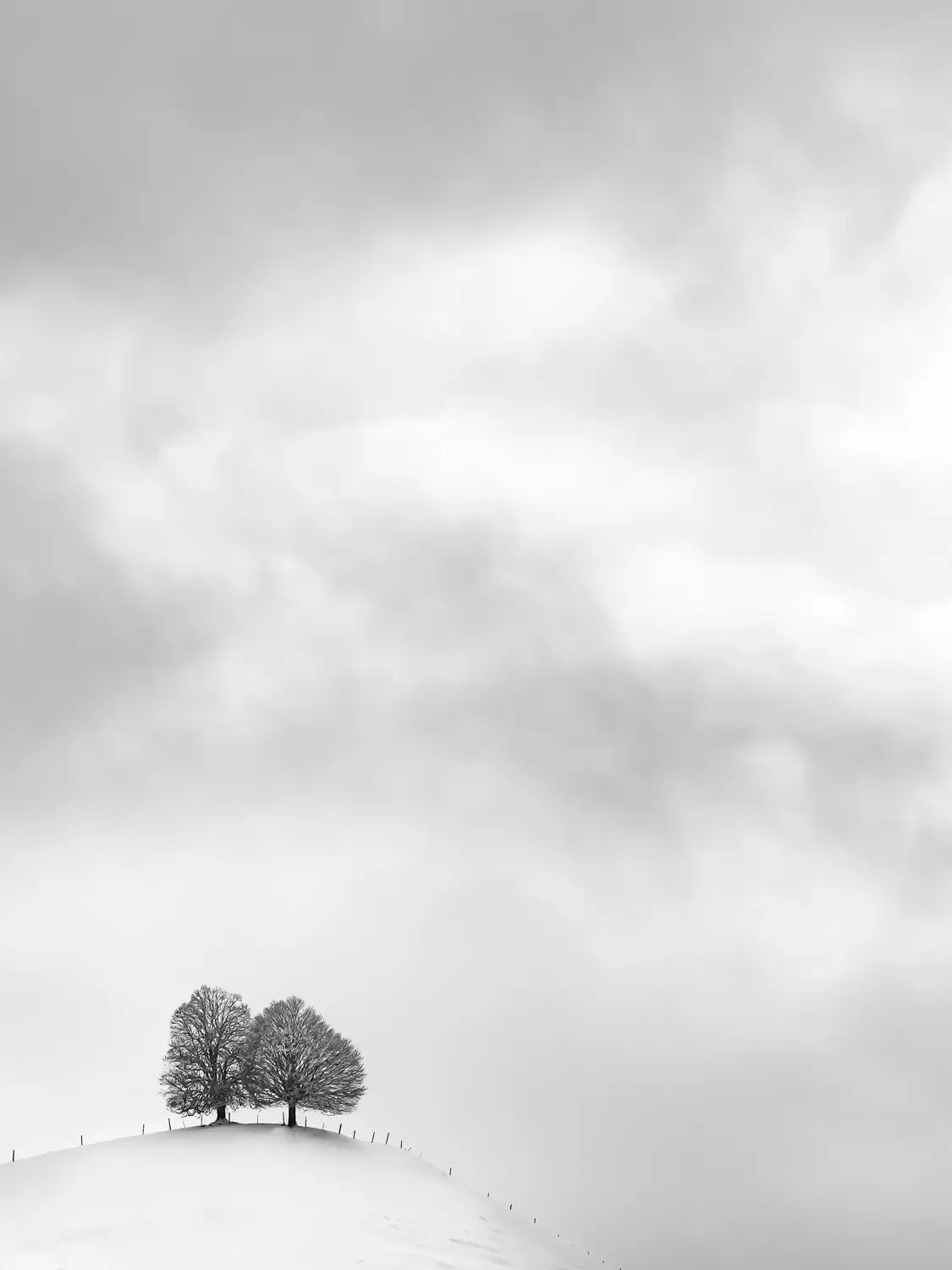 ilka mueller B W Switzerland Lonesly Tree