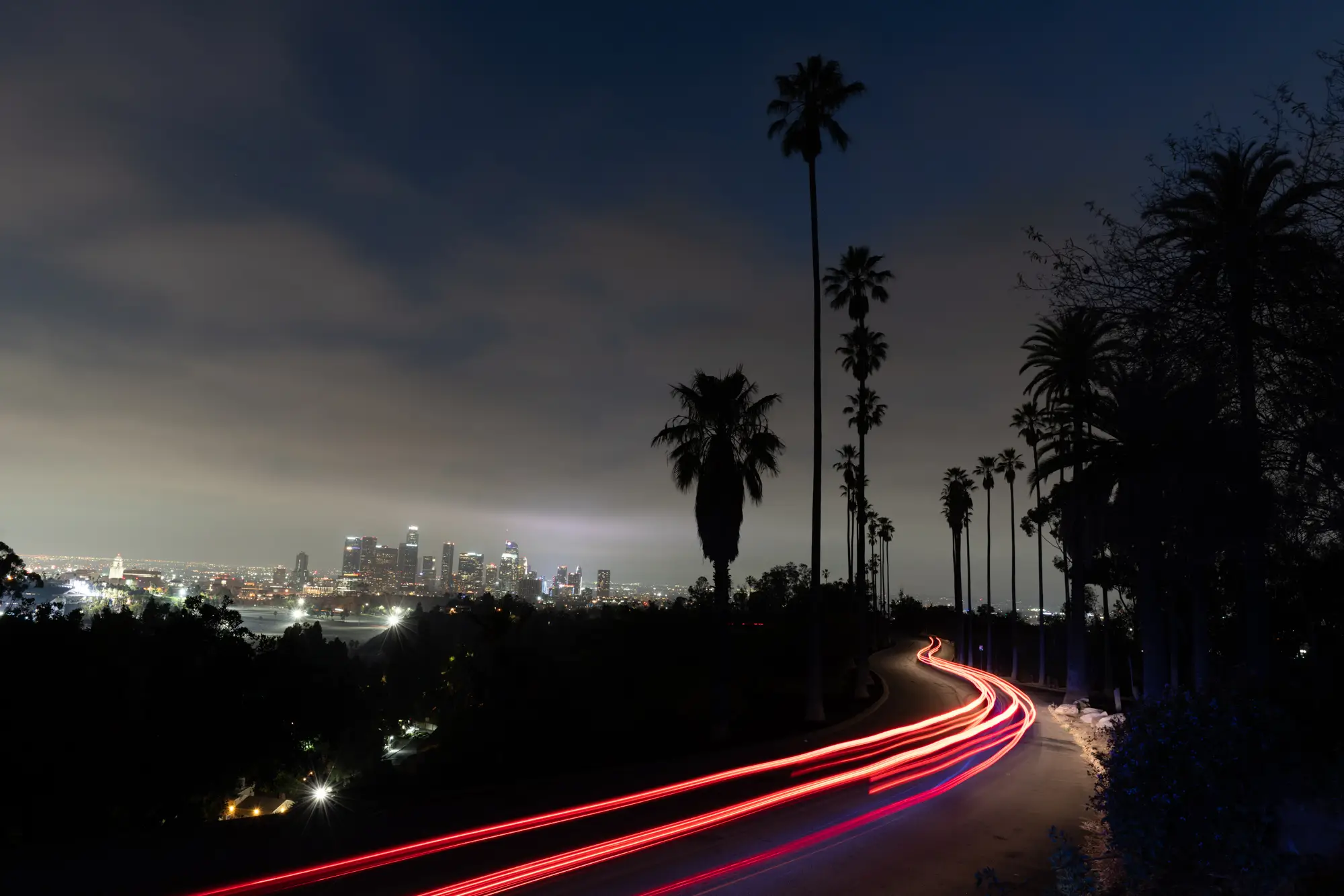ilka mueller City Night Los Angeles Skyline