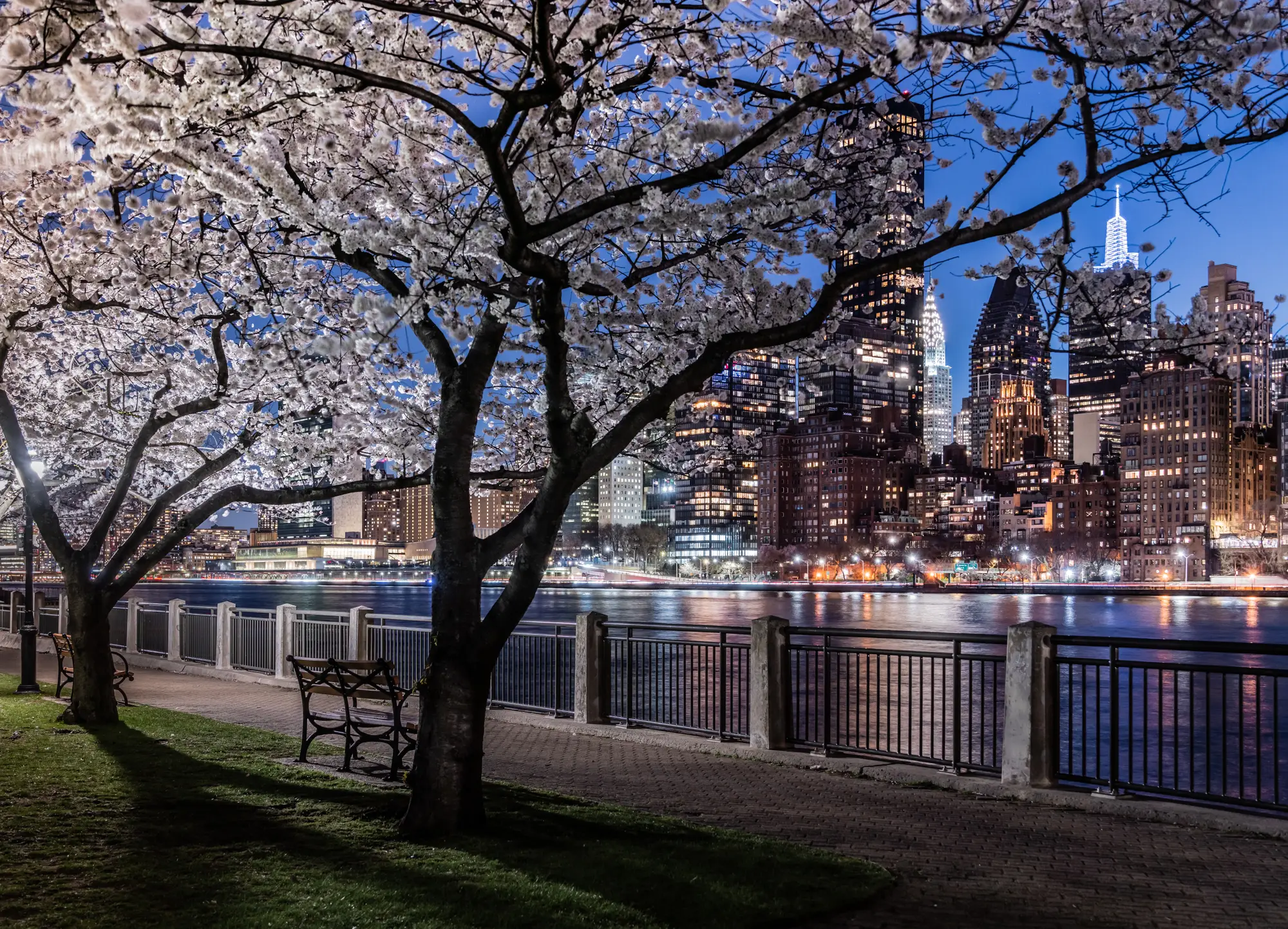 ilka mueller City Night New York Cherry