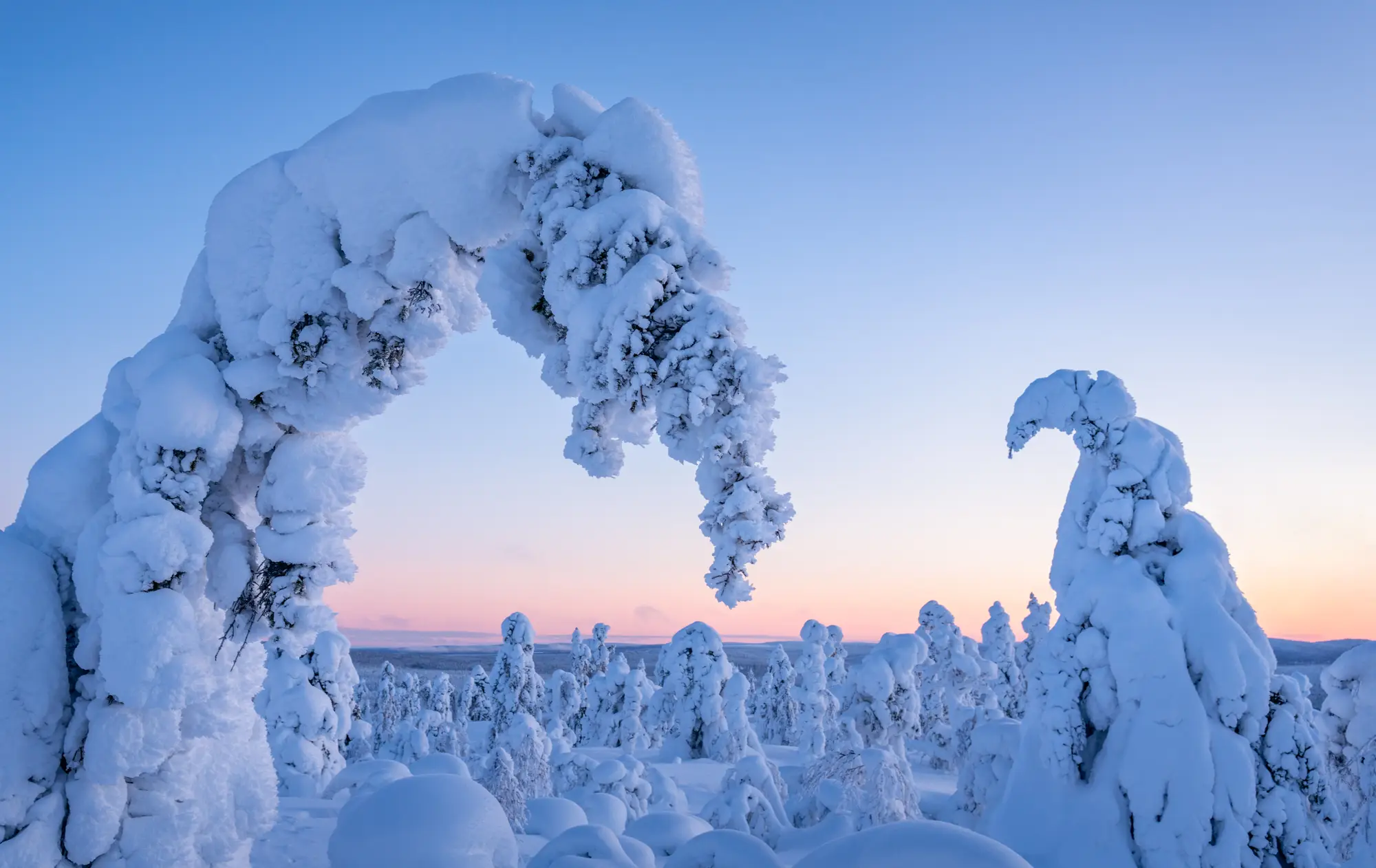 ilka mueller Landscape Finland Snowtrees