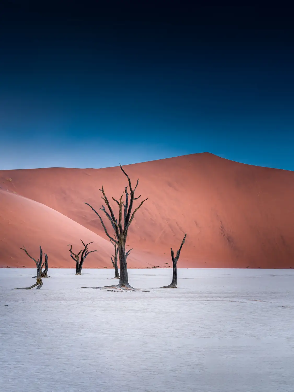 ilka mueller Landscape Namibia Trees