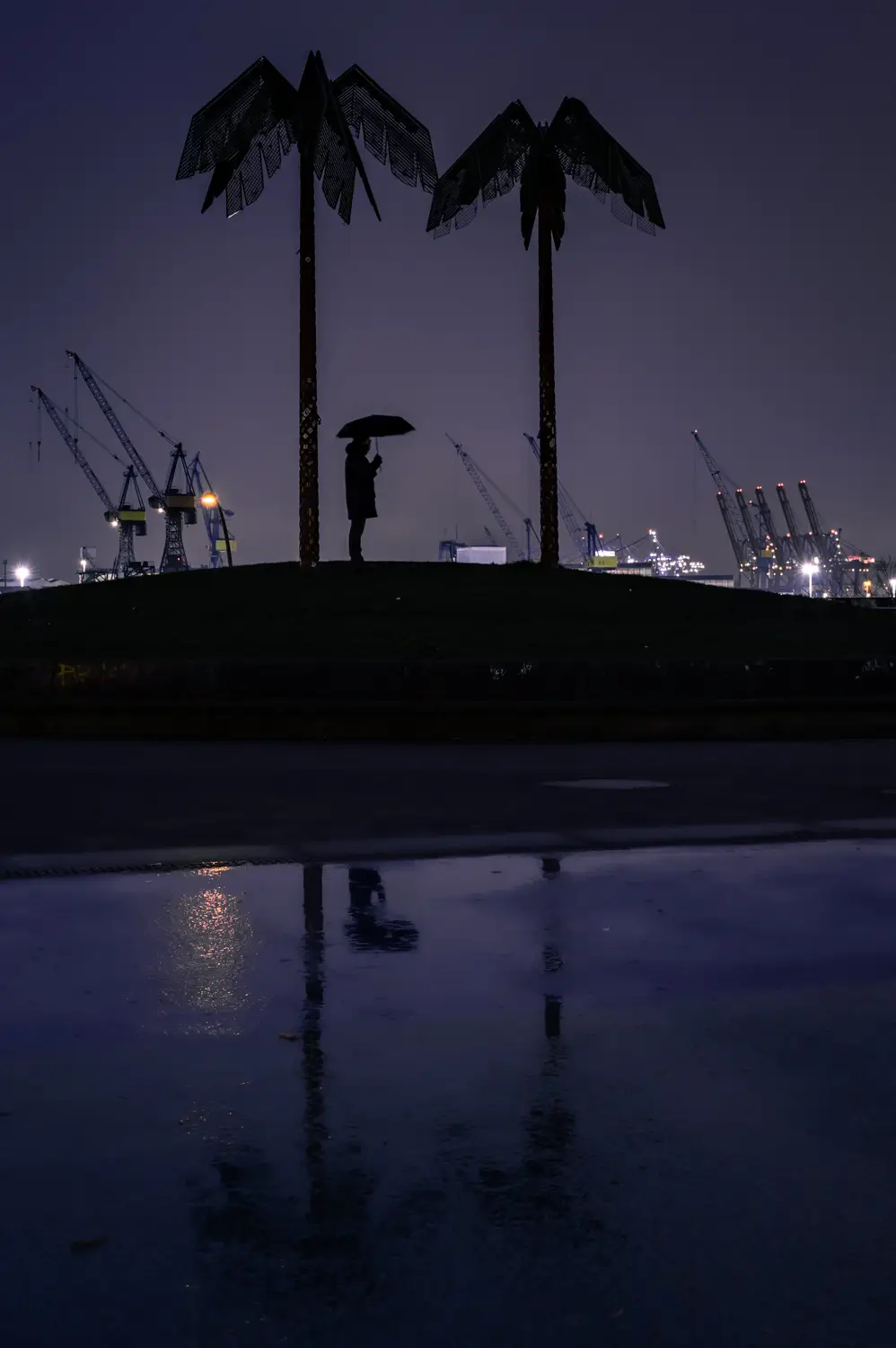 ilka mueller Night Streets Hamburg Palmtrees